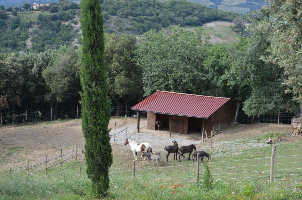 Bellavista Vila Seggiano Exterior foto
