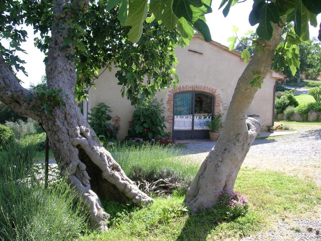 Bellavista Vila Seggiano Exterior foto